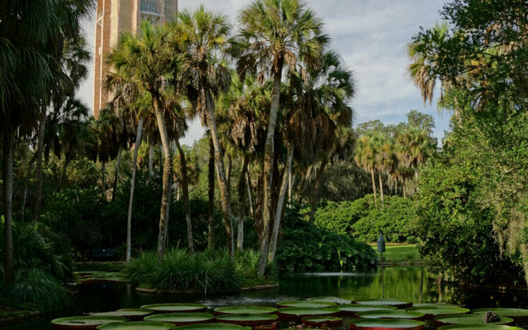 Stay a While at Bok Tower Gardens