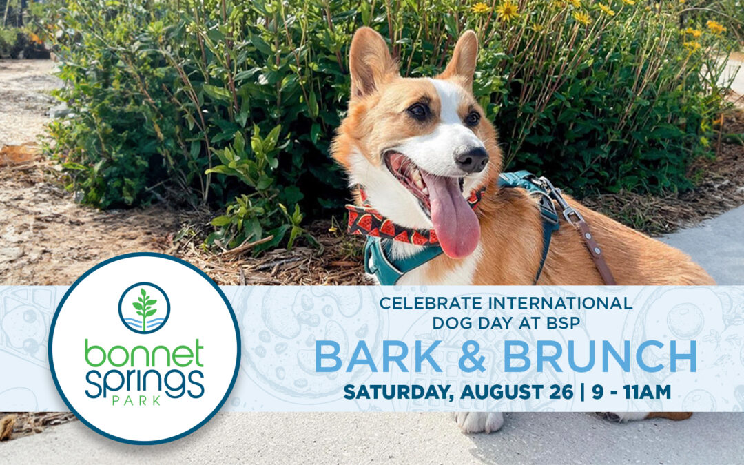 What to Do This Weekend: Bark and Brunch, Soul Food Pop Up, Mini-Market and More
